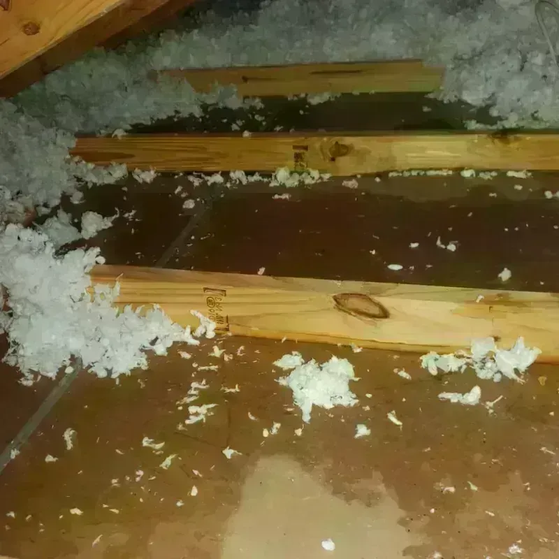 Attic Water Damage in Sweet Grass County, MT